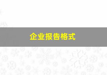 企业报告格式