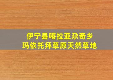 伊宁县喀拉亚尕奇乡玛依托拜草原天然草地