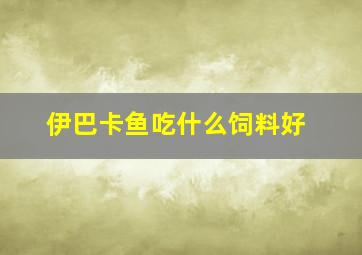 伊巴卡鱼吃什么饲料好