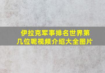 伊拉克军事排名世界第几位呢视频介绍大全图片