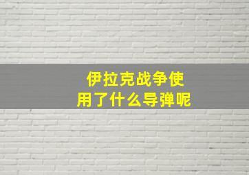 伊拉克战争使用了什么导弹呢