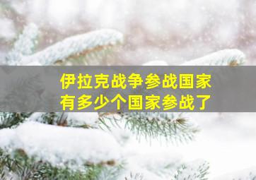 伊拉克战争参战国家有多少个国家参战了