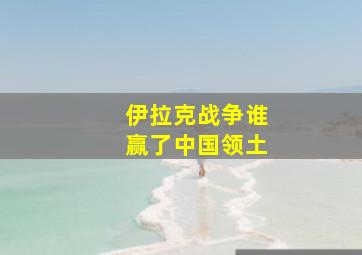 伊拉克战争谁赢了中国领土