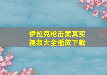 伊拉克枪击案真实视频大全播放下载