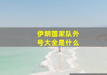 伊朗国家队外号大全是什么