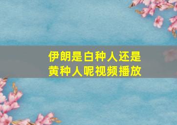 伊朗是白种人还是黄种人呢视频播放