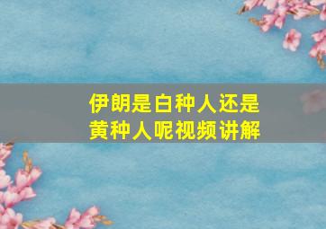 伊朗是白种人还是黄种人呢视频讲解