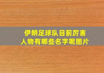 伊朗足球队目前厉害人物有哪些名字呢图片