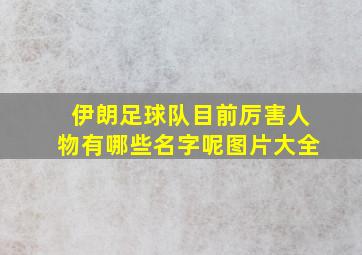 伊朗足球队目前厉害人物有哪些名字呢图片大全