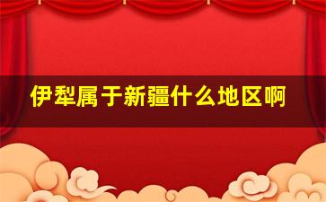 伊犁属于新疆什么地区啊