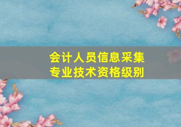 会计人员信息采集专业技术资格级别