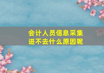 会计人员信息采集进不去什么原因呢