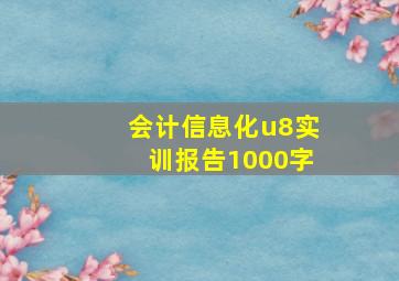 会计信息化u8实训报告1000字