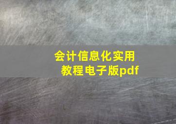 会计信息化实用教程电子版pdf