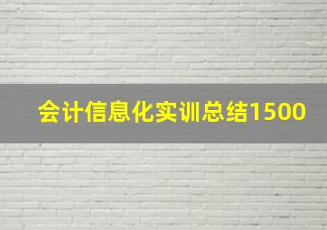 会计信息化实训总结1500