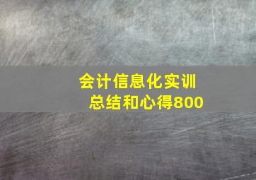 会计信息化实训总结和心得800