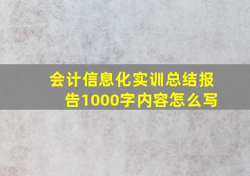 会计信息化实训总结报告1000字内容怎么写