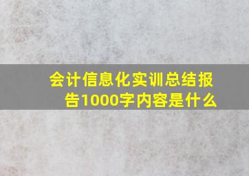 会计信息化实训总结报告1000字内容是什么