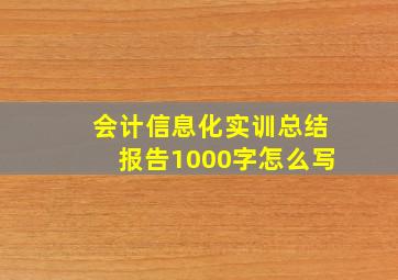 会计信息化实训总结报告1000字怎么写