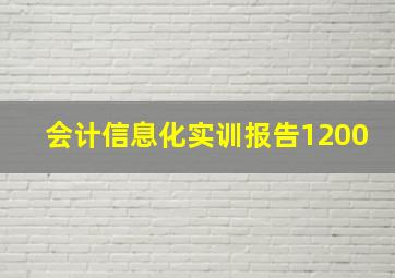 会计信息化实训报告1200