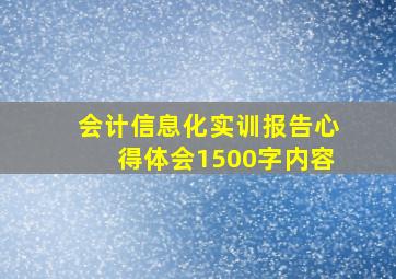 会计信息化实训报告心得体会1500字内容