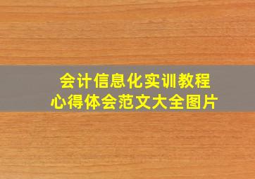 会计信息化实训教程心得体会范文大全图片