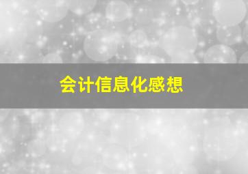 会计信息化感想