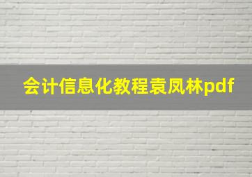 会计信息化教程袁凤林pdf