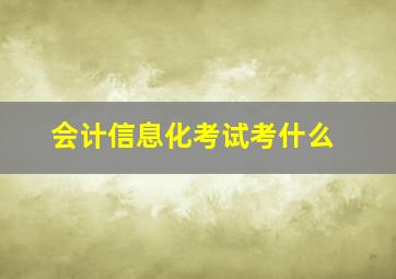 会计信息化考试考什么