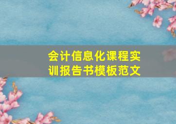 会计信息化课程实训报告书模板范文