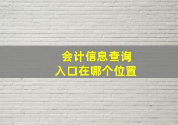 会计信息查询入口在哪个位置