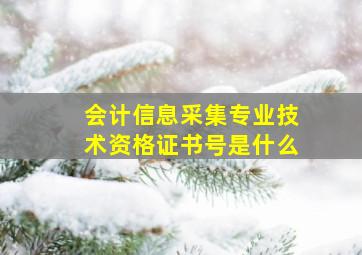 会计信息采集专业技术资格证书号是什么