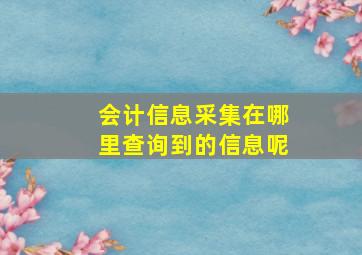 会计信息采集在哪里查询到的信息呢