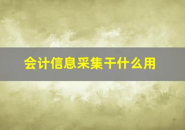 会计信息采集干什么用