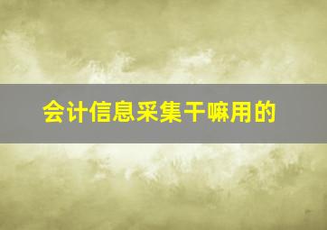 会计信息采集干嘛用的