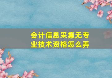 会计信息采集无专业技术资格怎么弄