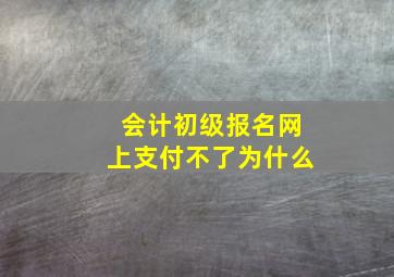 会计初级报名网上支付不了为什么