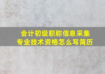 会计初级职称信息采集专业技术资格怎么写简历