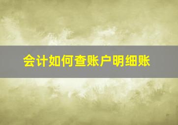 会计如何查账户明细账