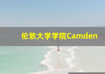 伦敦大学学院Camden