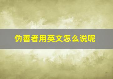 伪善者用英文怎么说呢