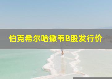 伯克希尔哈撒韦B股发行价