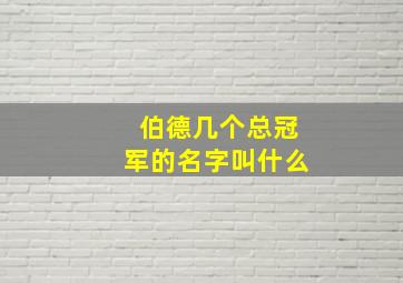 伯德几个总冠军的名字叫什么