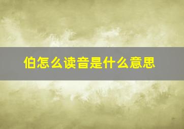 伯怎么读音是什么意思