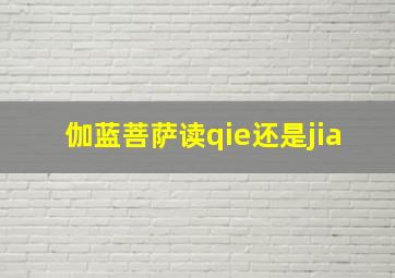 伽蓝菩萨读qie还是jia