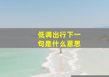 低调出行下一句是什么意思