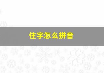 住字怎么拼音