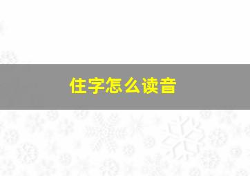 住字怎么读音