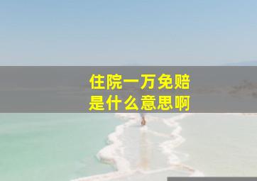 住院一万免赔是什么意思啊