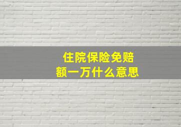 住院保险免赔额一万什么意思